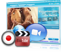 support record all video sites