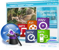Support Most Streaming Media Protocols and Formats