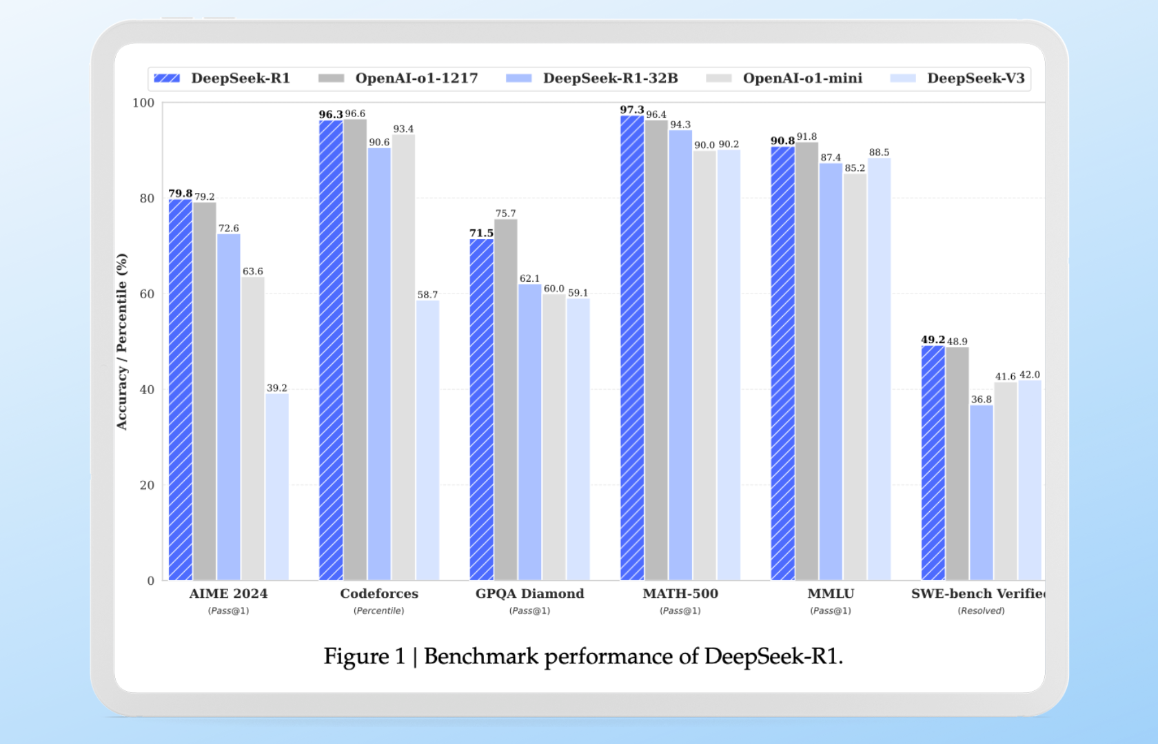 DeepSeek Performance