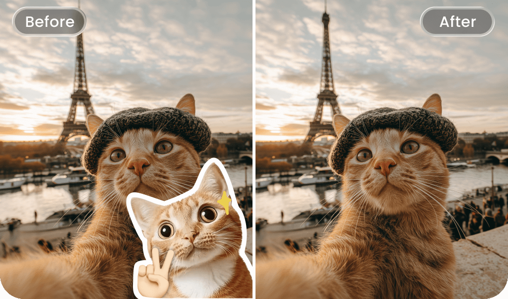 Quitar emojis de fotos