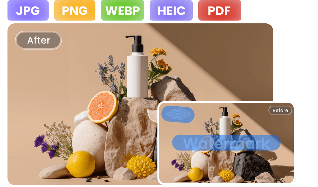 Works with Most Formats