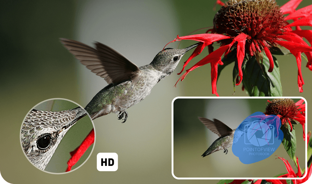 Restore Original Details