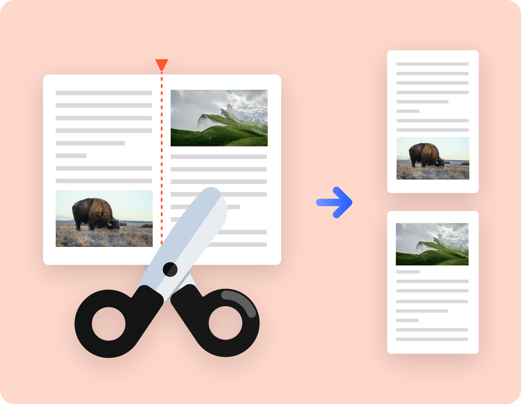 Eine PDF-Seite in Abschnitte teilen – jeder wird eine eigene Seite