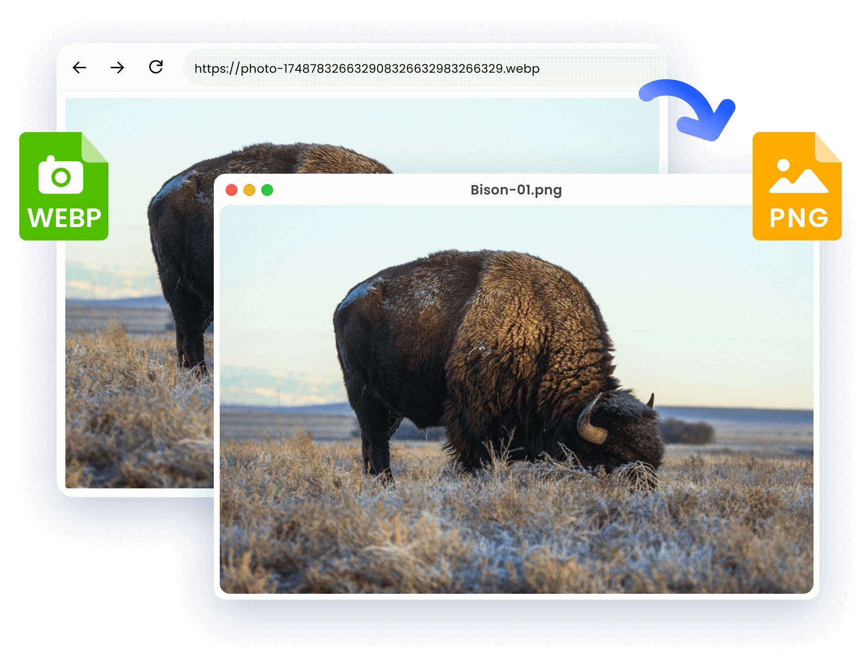 Herausforderungen beim Konvertieren von WebP in PNG