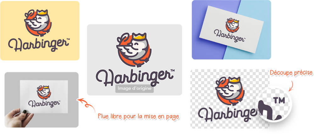 enlever le fond logo