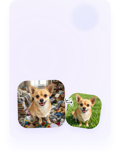 ลบและเปลี่ยนพื้นหลังภาพสัตว์เลี้ยง