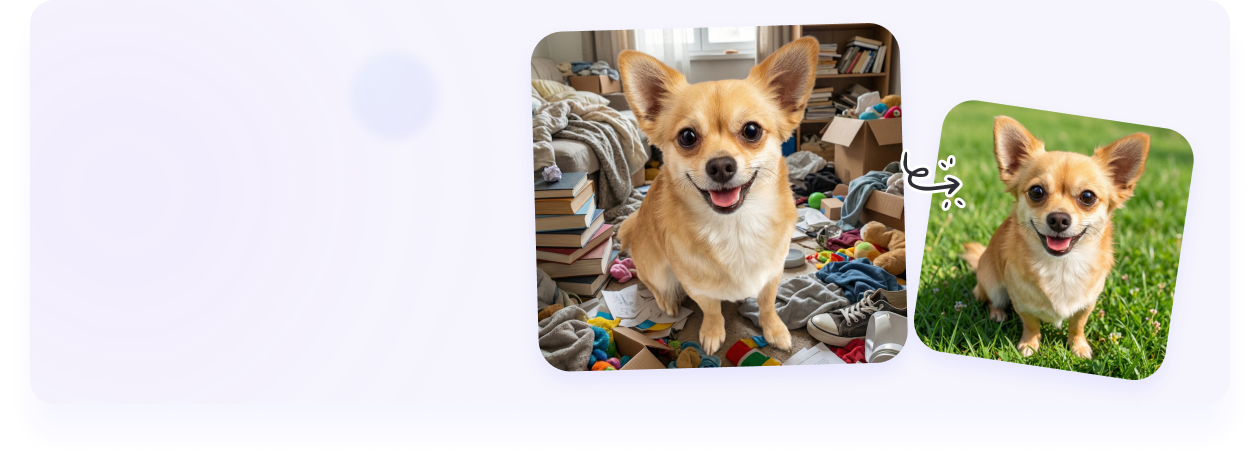 ลบและเปลี่ยนพื้นหลังภาพสัตว์เลี้ยง