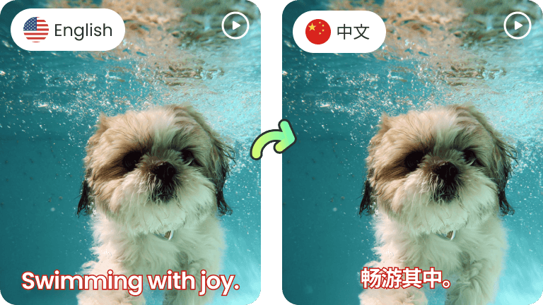 免費將影片翻譯成中文 | RecCloud