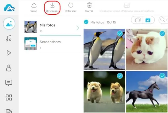 Descargar Fotos