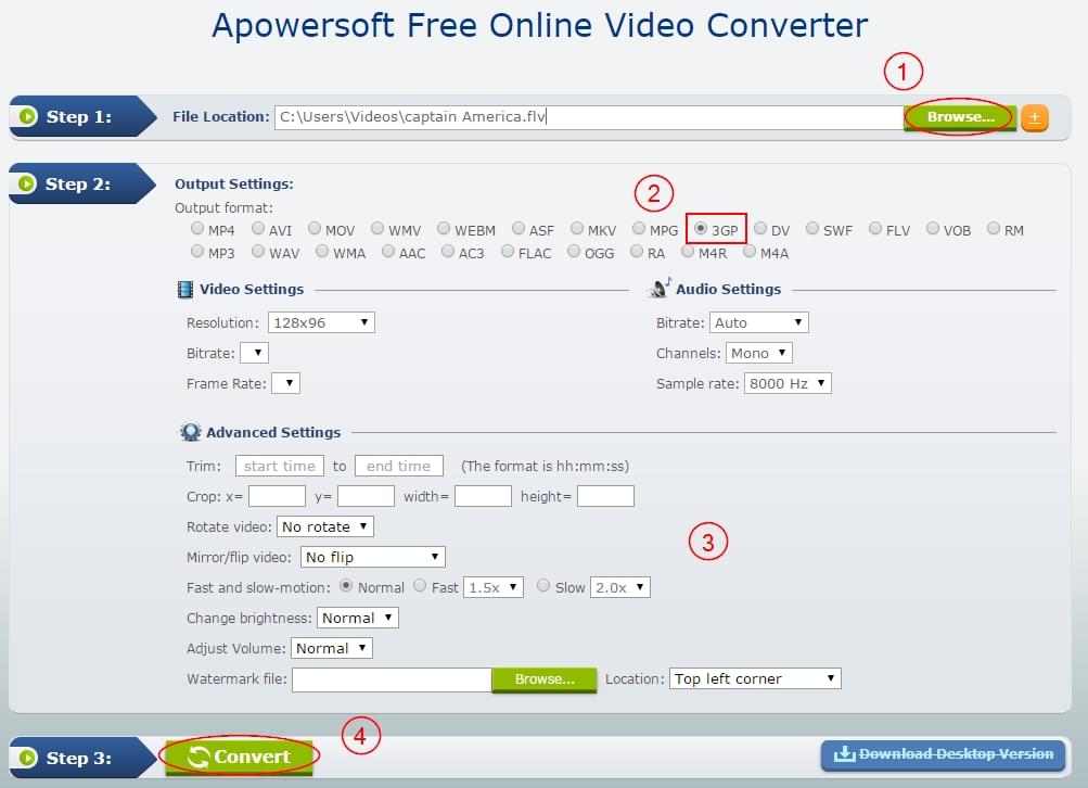 view or convert flv files