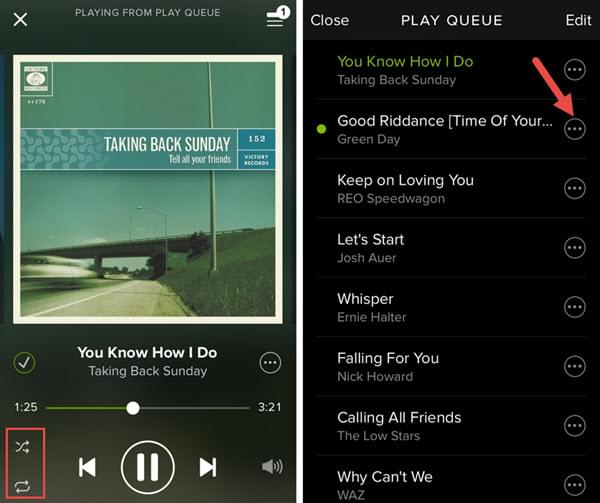 Spotify instal the new version for iphone