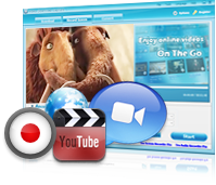 support record all video sites