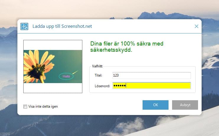 ladda upp skärmdump