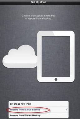 recover iPad deleted photos from iCloud backup