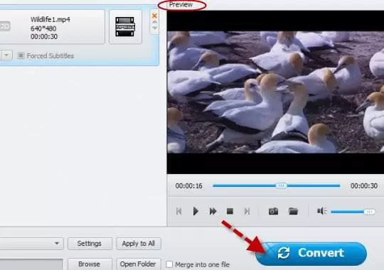 convert Blu-ray movies