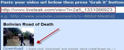 grab liveleak video process