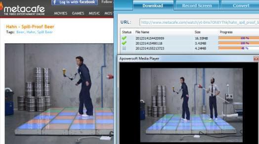 great software to save metacafe video