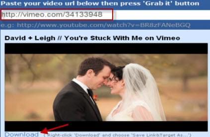 free way to grab vimeo video